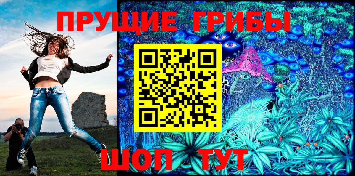 Псилоцибиновые грибы прущие грибы Богданович